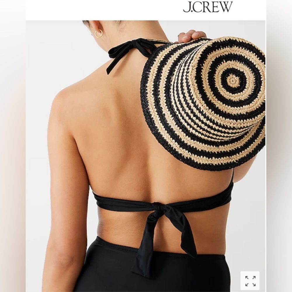J Crew Navy Bikini